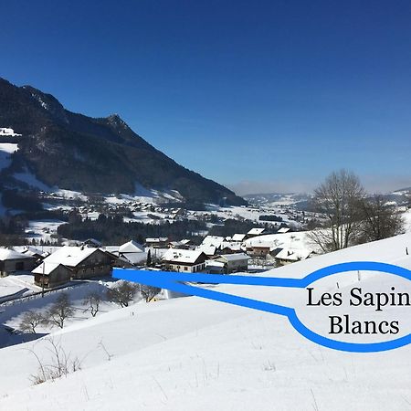 Les Sapins Blancs Διαμέρισμα Vacheresse Εξωτερικό φωτογραφία
